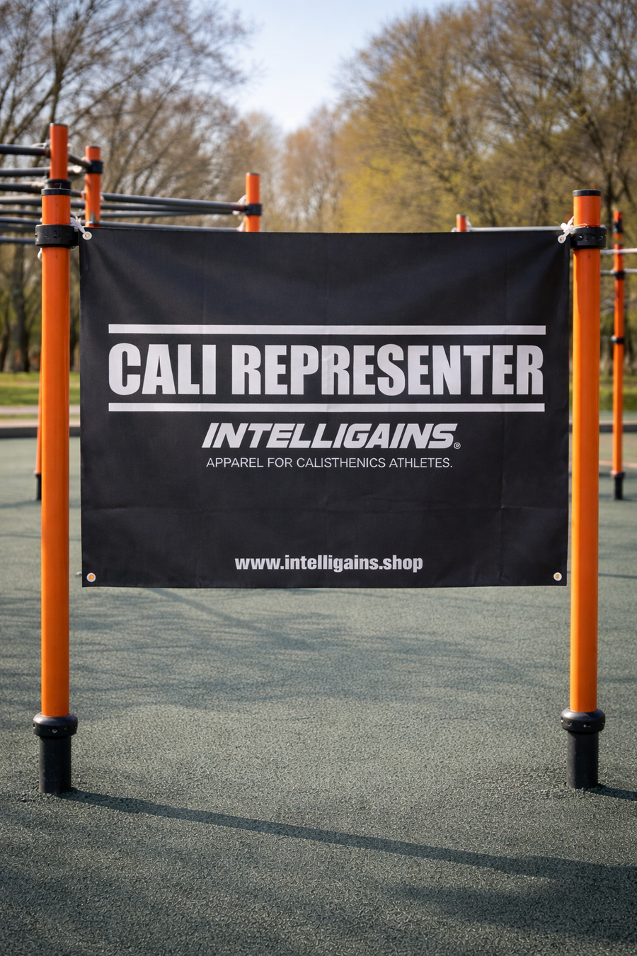CALI REPRESENTER banner at a calisthenics park