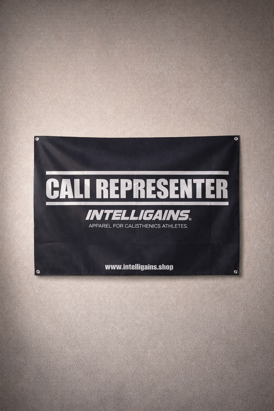 CALI REPRESENTER banner at a calisthenics park